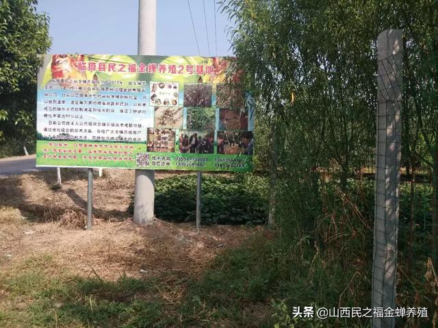 创业网好项目加工办厂，我想办一个小厂，投资10万一内，请大家指点做什么项目有前途