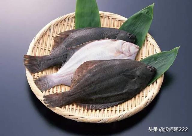 成年黑白关刀海水鱼:大家有没有觉得神像鱼长得很美？