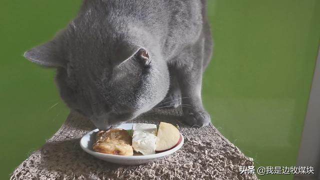 有让猫:有让猫咪睡觉的音乐吗 猫草和猫戒不掉产品都有什么化学元素让猫欲罢不能？