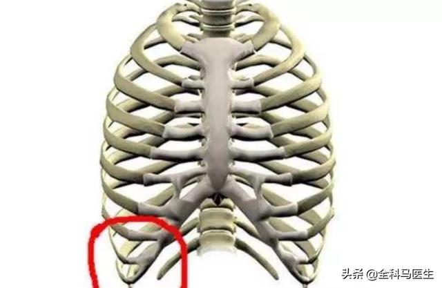 女性左胸下方肋骨疼痛图片