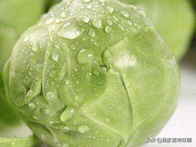 吃火锅要什么菜,吃火锅，大家都喜欢涮哪些菜？
