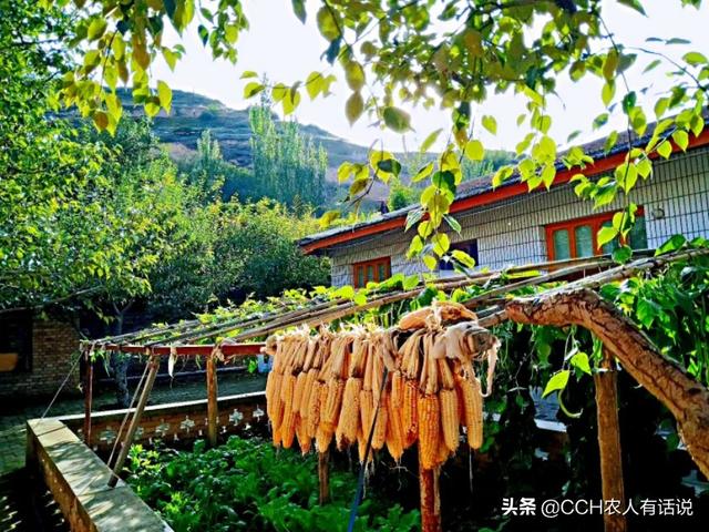 什么叫做职业农民？