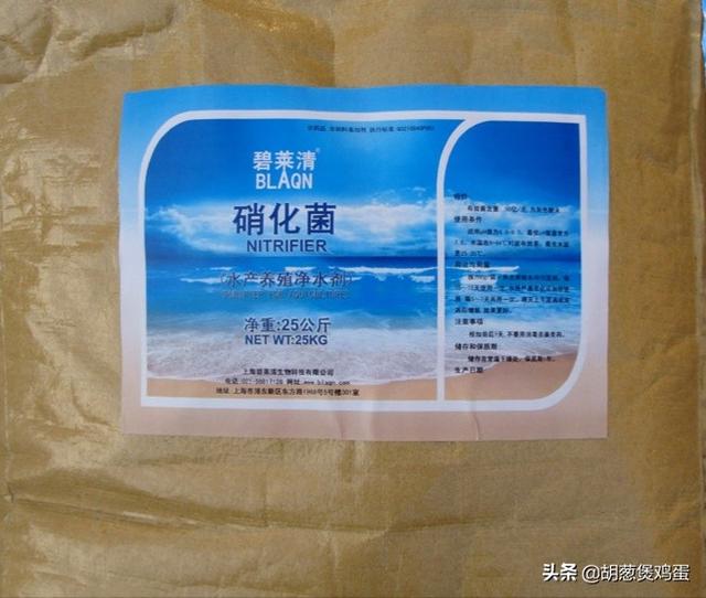 南美水族论坛:虾池里面的水气泡多怎么办？