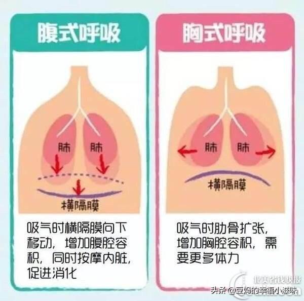 平时走路,站立保持收腹状态是不是会导致胸式呼吸？那还应该收腹吗？