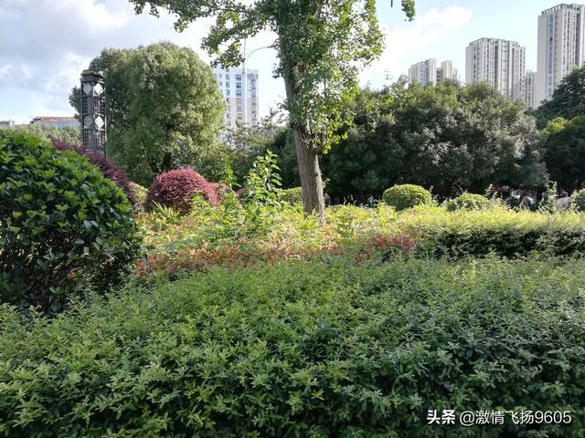 长沙单身微信<a href=https://maguai.com/list/60-0-0.html target=_blank class=infotextkey><a href=https://maguai.com/list/60-0-0.html target=_blank class=infotextkey>交友</a></a><a href=https://maguai.com/personal/ target=_blank class=infotextkey><a href=https://maguai.com/group/ target=_blank class=infotextkey><a href=https://maguai.com/personal/ target=_blank class=infotextkey><a href=https://maguai.com/group/ target=_blank class=infotextkey>微信群</a></a></a></a>:30离异女在外面被陌生人加了微信，承诺结婚买车买房靠谱吗？