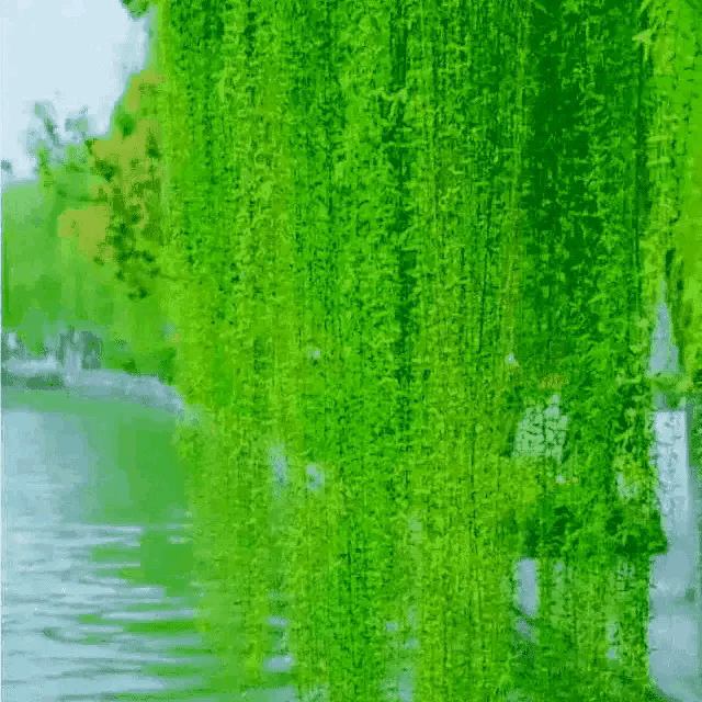 动态春天风景图片,春天的动态美(第9页)_大山谷图库