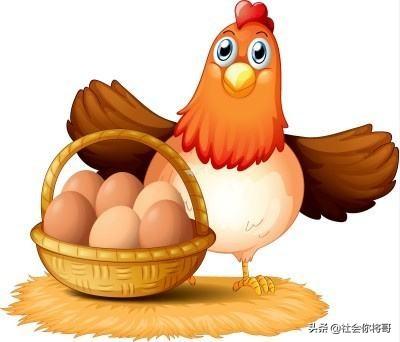 哪种蛋类营养更好，野鸡蛋、乌鸡蛋、土鸡蛋中，哪种鸡蛋好吃营养好