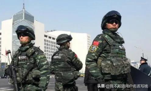 特警犬王大赛比武:看罢现在的传统武术对抗散打后，你还相信以前的传奇武侠英雄吗？