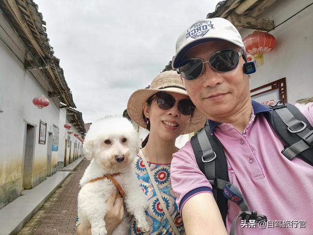 狗孩论坛大全:如果你被自己养的狗咬了，你还会再去养狗吗？为什么？