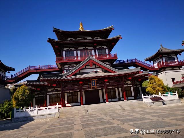 寒舞照片:你见过最让你心生悲凉的nba照片是哪张？