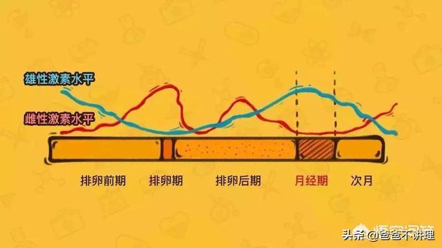 头条问答 奶头痛是不是排卵呢 26个回答