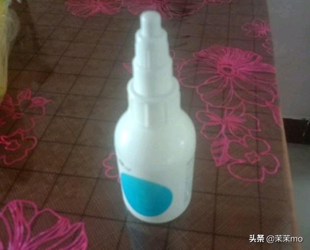 猫图片大全:养田园猫，你愿意花钱吗？