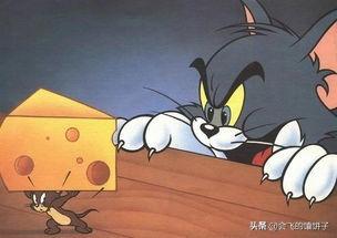 《猫和老鼠》中那种全是洞洞的奶酪叫什么名字，味道如何？插图32