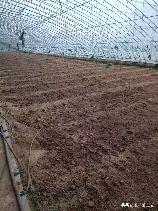 头条问答 种植蔬菜 用什么肥料做底肥好 37个回答