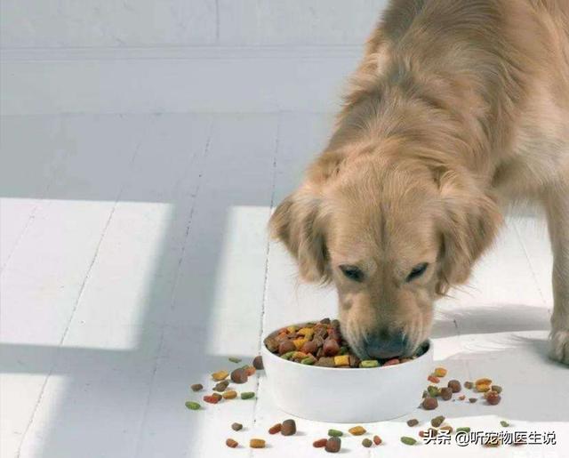 盛来知半生粮食泰迪专用:我家的狗狗近来吃狗粮最后会留一粒，这是为啥呀？