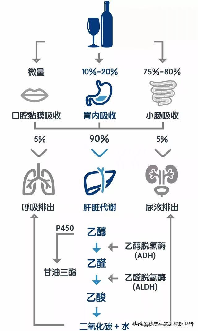 智商越高的人睡觉越容易做梦,为什么说太聪明的人往往都是孤独的？