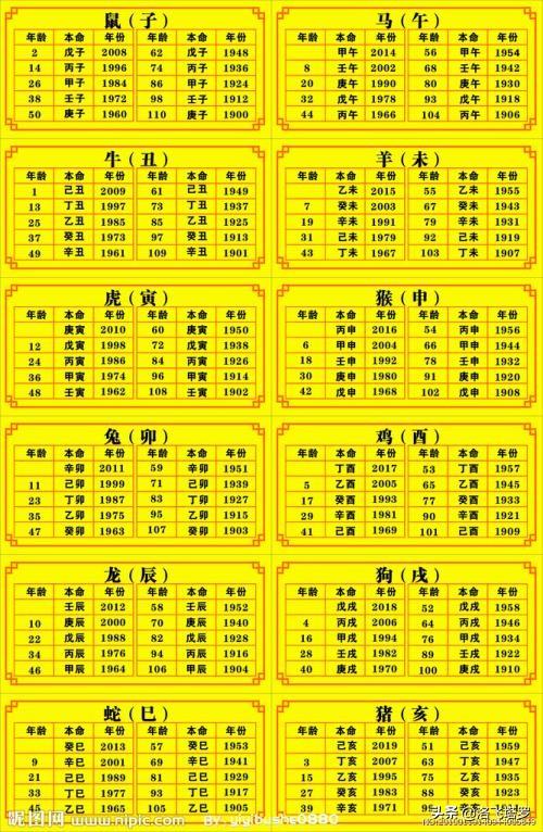 十二生肖哪些值得姑娘去嫁？