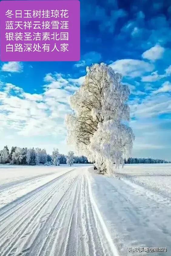 lady呱呱马诺:贾平凹女儿贾浅浅诗歌引争议，其作究竟如何？