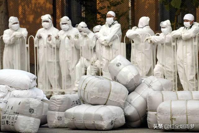 人类能否避免打开装着病毒的“潘多拉魔盒”？