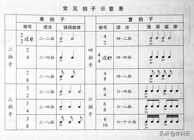 头条问答 乐理中拍的强弱是什么 11个回答