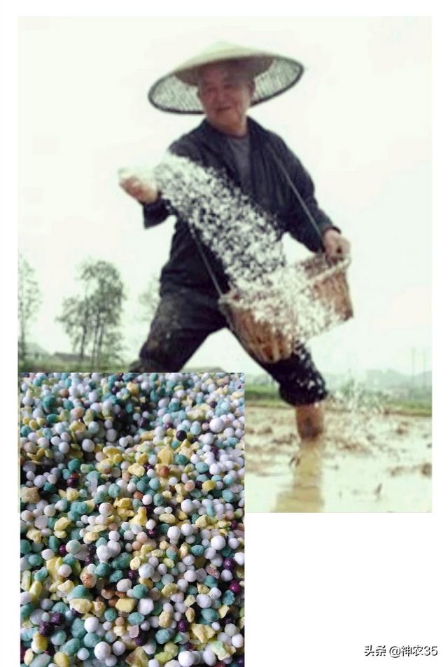 植物必需的营养元素:农作物和营养的关系是怎样的？如何弥补缺失的营养物质？