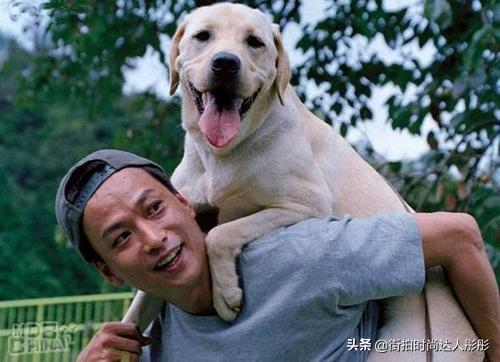 关于狗的电影感人:除了《忠犬八公》，大家还看过其他的让你感动到哭的狗狗电影吗？