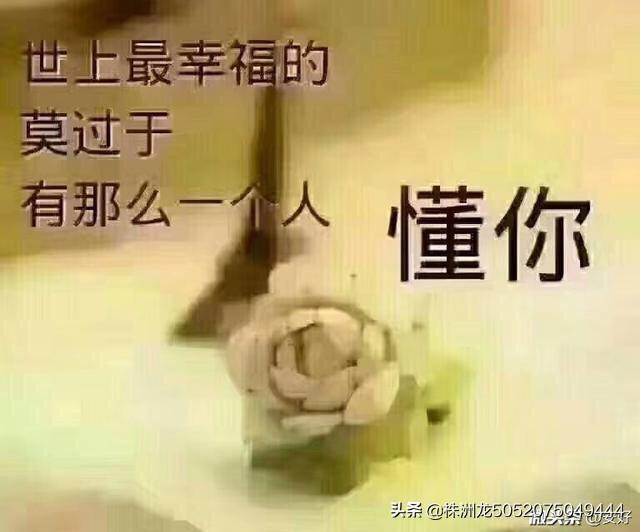 有接天莲相伴这是一首什么,歌词有浪漫传奇是什么歌？