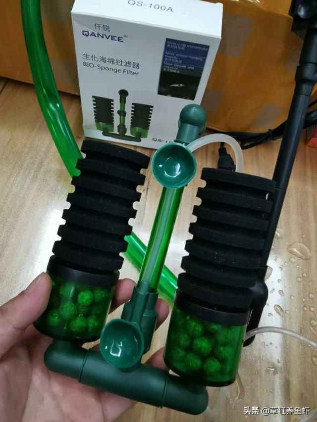 过滤器水妖精怎么用:用一个三合一水妖精和一个鱼缸就能养鱼吗？
