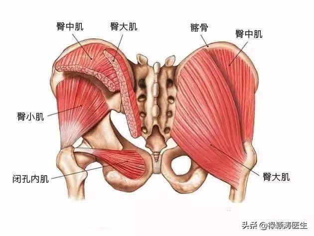 一会腿酸痛 一会左股酸痛 是什么情况 禄颖涛医生的回答 头条问答