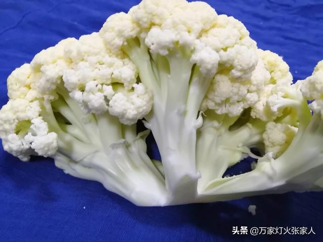 菜花甜妈送你葱:综艺节目到底是按剧本演的还是随机应变的
