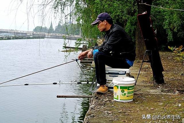 鱼活饵:野钓喜欢用活饵还是商品饵？