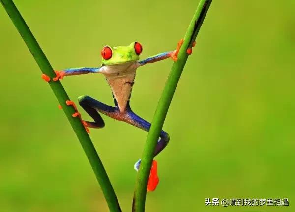 你觉得人这辈子最大的悲哀、最大的幸福、最让人心碎的分别是什么？
