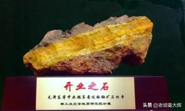 玉林荔枝狗肉节:经过爱狗人士折腾后，为什么玉林狗肉节反而越办越红火食客如云？ 玉林荔枝狗肉