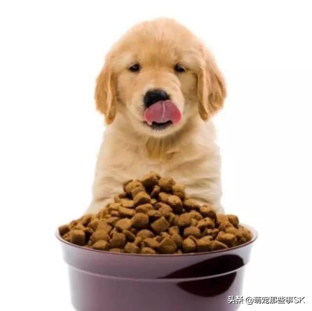 天然粮狗粮排名:有哪些比较平价而且挺好的狗粮？