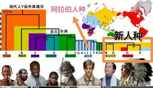 红色人种:北方通古斯人种和南方马来人种都属于棕色人种吗