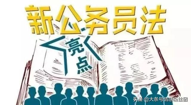 四级调研员承担什么工作？