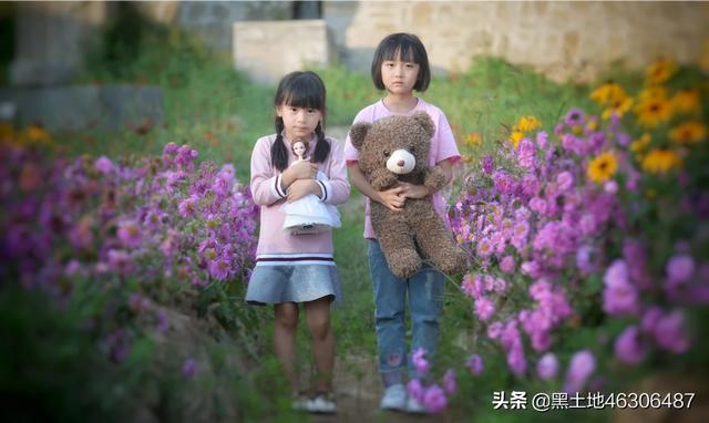 八公犬物语在线观看:摄影“尼康”党们，是什么原因让你当初选了尼康？
