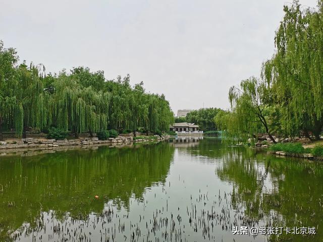 通州大运河森林公园健走方案:北京最适合跑步的公园有哪些？