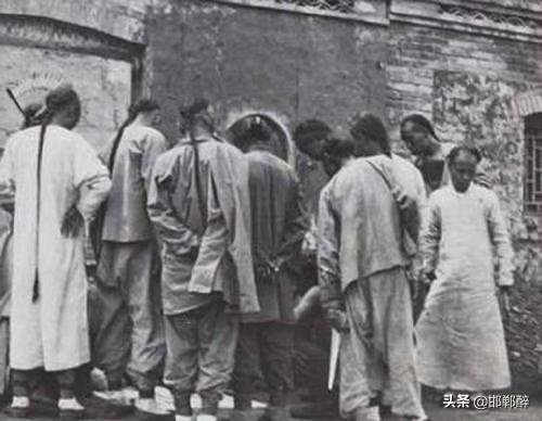 金学曾:番薯是什么时候传入我国的？
