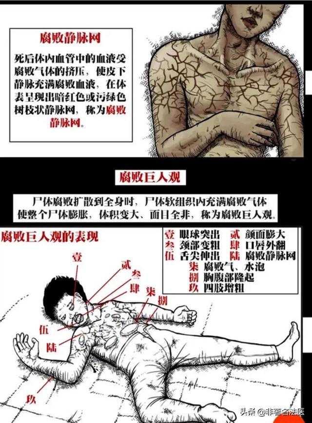 《康熙微服私访记》里饰演三德子的赵亮为什么养鸡去了？