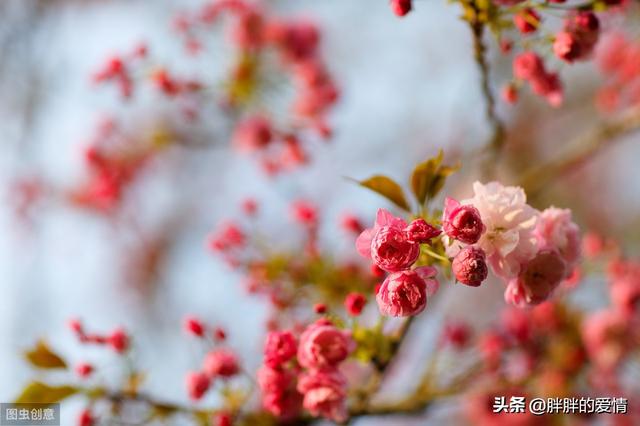 带有人生哲理的句子:给我点人生哲理的句子还有为人处事的一些话，越详细越好？(只有为人母才懂得的句子)