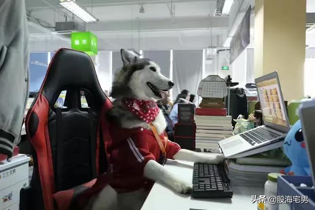 现在什么职业前景好？