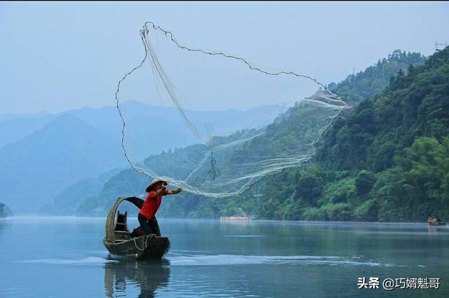 猫抓网:想买张网捕鱼，有没有好的推荐？