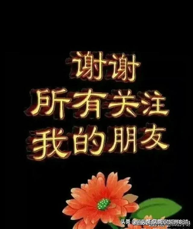 庾澄庆对伊能静的评价:庾澄庆怎么爱上伊能静的阿