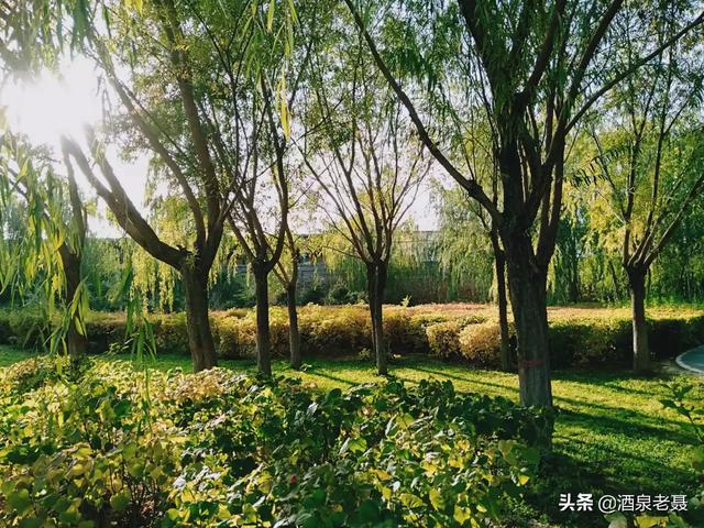 蓝翔百人跨省打架:这次疫情带给你最大的感触是什么