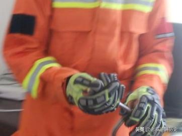 贵州菜花蛇图片:一条5米长的菜花蛇，和一条五米长的眼镜王蛇，相遇会怎样？
