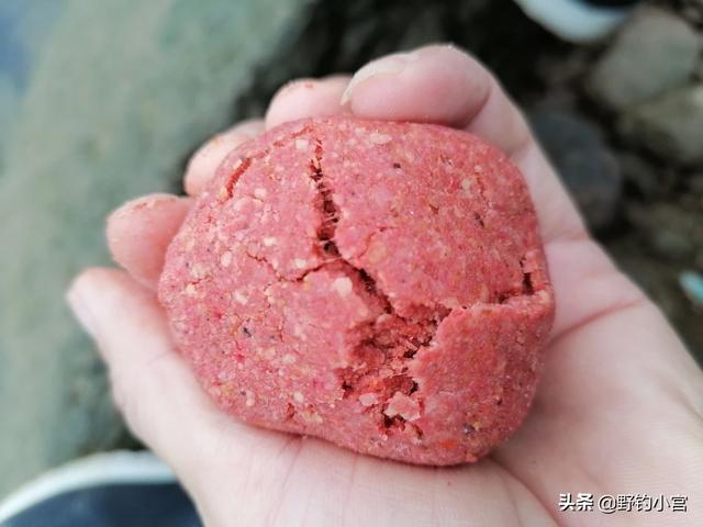 亳州短脚长身梗犬多少钱一只:现在这个温度，用什么饵料能快速钓白条？