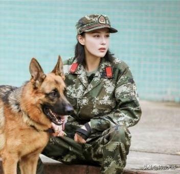 神犬奇兵72:电视剧《神犬奇兵》中，小米死的时候你看哭了吗？