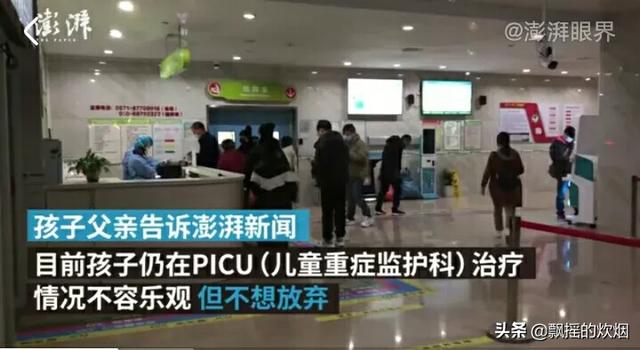 滦县救狗事件:怎么看待主人给狗狗众筹，三小时就筹到八万？