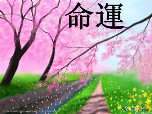 相信命运早已安排好的吗,为什么有些人那么拼命却一事无成？